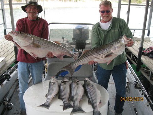 Nice Striped Bass